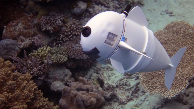 Neuer Unterwasserrobo wird von Fischen akzeptiert