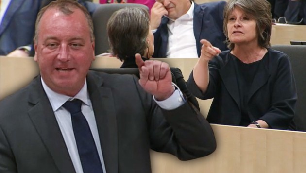 Der steirische FPÖ-Nationalratsabgeordnete Wolfgang Zanger sorgte mit seiner Rede für einen Eklat im Parlament. Im Hintergrund: die SPÖ-Mandatare Gabriele Heinisch-Hosek (li.) und Andrea Kuntzl (Bild: orf.at, krone.at-Grafik)