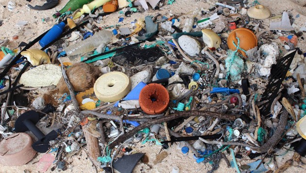 Kunststoffmll an einem Strand von Henderson Island (Bild: APA/dpa/Jennifer Lavers)