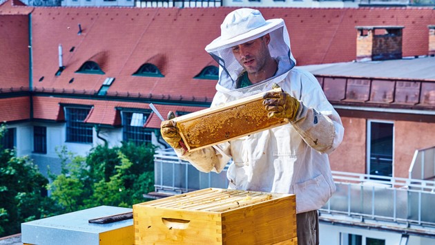 Matthias Pichler überprüft die Bienenstöcke am Dach des Magdas Hotel (Bild: Magdas Hotel)
