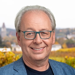 (Bild: Grüne) (Bild: Grüne)
