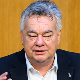Werner Kogler