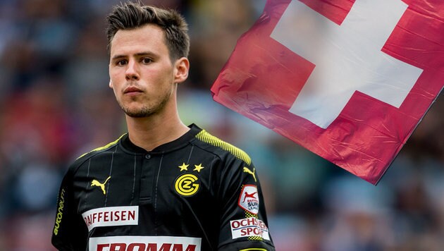 Symbol Grasshoppers Zürich