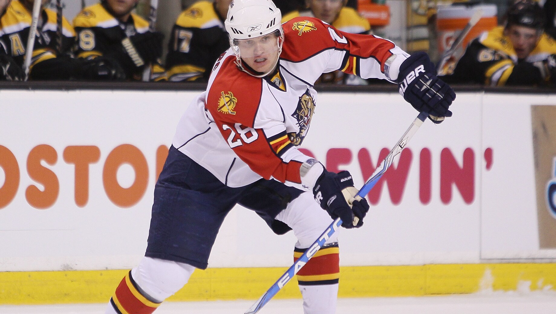 Symbol Florida Panthers
