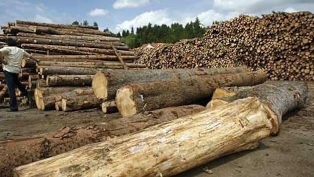 Seinen Holzbedarf deckt Italien zu einem Fünftel mit Einfuhren aus Österreich. (Bild: Uta Rojsek-Weidergut)
