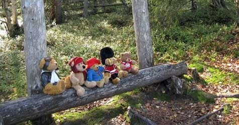 teddy tours lapland