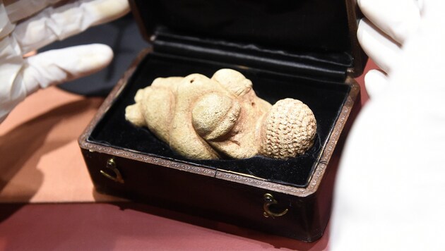 Die äußerst weibliche Venus von Willendorf. (Bild: APA/HELMUT FOHRINGER)