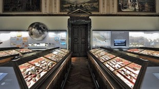 Das Naturhistorische Museeum Wien (Bild: APA/HERBERT NEUBAUER)