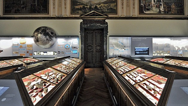 The Natural History Museum Vienna (Bild: APA/HERBERT NEUBAUER)