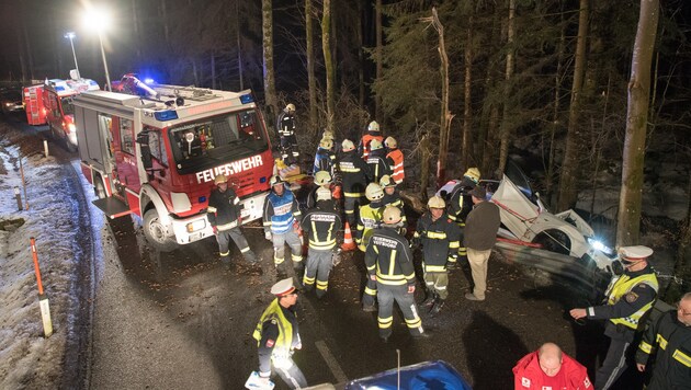 Der Promillelenker landete in Alberndorf/R. im Wald, "fällte" einen Baum, der ein anderes Auto traf (Bild: fotokerschi.at)