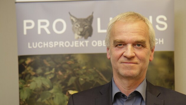 Beim Land OÖ leitet Gottfried Schindlbauer die Abteilung Naturschutz, ist für den Luchs "zuständig" (Bild: Markus Schütz)