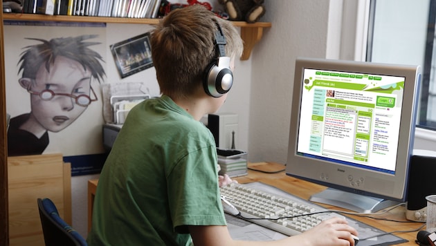 Experten raten Eltern, dass sie ihre Kinder im Internet nicht alleine lassen sollen (Bild: Mauritius Images/Jochen Tack)