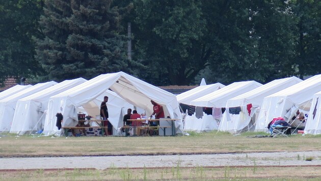 Das Zeltlager für Asylanten am Sportplatz der Linzer Polizei soll bis Ende Juli geräumt sein (Bild: Markus Schütz)