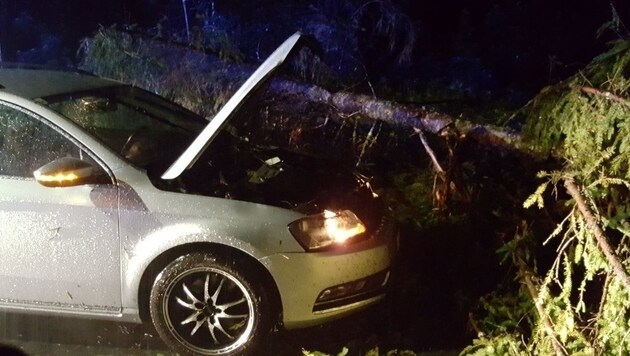 Auf der Ossiacher Bundesstraße stürzte ein Baum auf das Auto einer 29-Jährigen. (Bild: FF Feldkirchen)