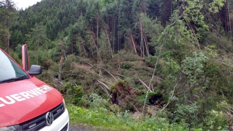 In der steirischen Gemeinde Kleinsölk wurden rund zehn Hektar Wald umgeworfen. (Bild: APA/BFK LIEZEN/SCHL†ÜSSLMAYR)