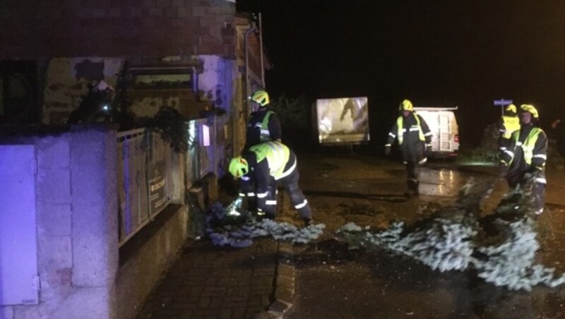 Im burgenländischen Bezirk Klingenbach stürzten mehrere Bäume auf Straßen. (Bild: APA/FF KLINGENBACH)