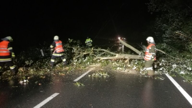 Im burgenländischen Bezirk Klingenbach stürzten mehrere Bäume auf Straßen. (Bild: APA/FF KLINGENBACH)