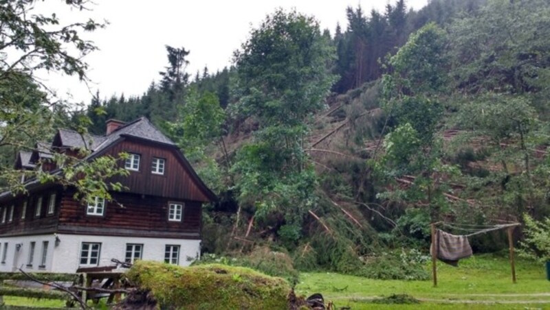 In der steirischen Gemeinde Kleinsölk wurden rund zehn Hektar Wald umgeworfen. (Bild: APA/BFK LIEZEN/SCHL†ÜSSLMAYR)