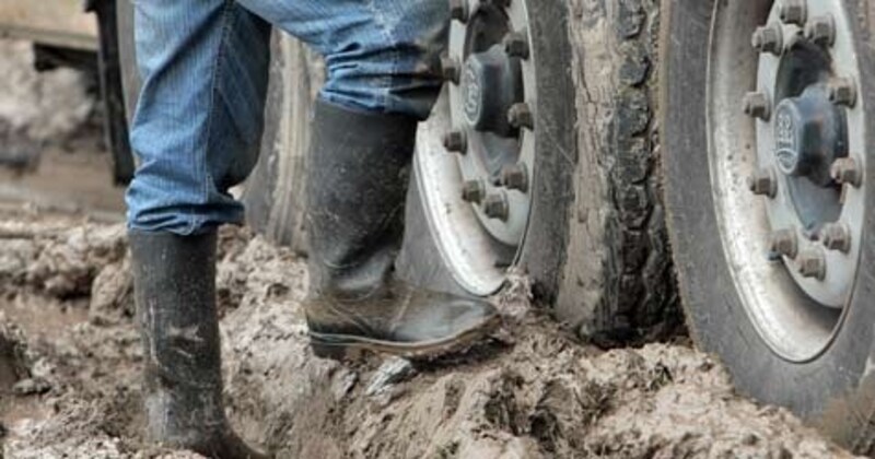 The softened road (symbolic image) was the end of the line for the firecracker smuggler. (Bild: APA/Georg Hochmuth)