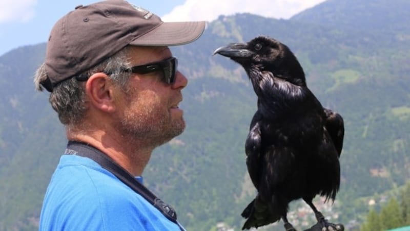 Franz Schüttelkopf (am Foto mit Kolkrabe Max) appelliert an die Vernunft des Drohnenpiloten. (Bild: Evelyn Hronek)