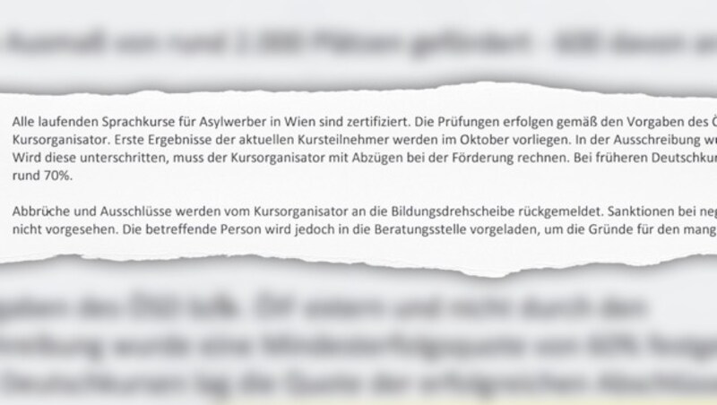 Der Fonds Soziales Wien bestätigt, dass Flüchtlingen keine Sanktionen bei Misserfolg drohen. (Bild: Krone)