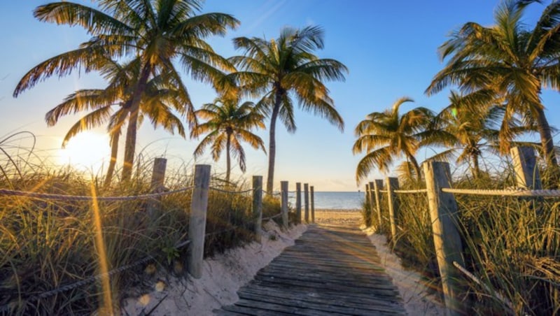 Florida (Bild: thinkstockphotos.de)