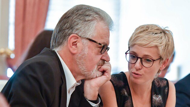 Walter Aichinger und Doris Hummer: 2016 hatte der ÖVP-Klub gleich zwei Zusatz-Großverdiener. (Bild: © Harald Dostal / 2017)