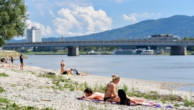 Nach dem Strand in Alt-Urfahr soll zwischen AEC und neuer Donaubrücke eine Freizeitoase entstehen. (Bild: © Harald Dostal / 2017)