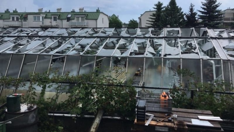 Ein durch den Hagel zerstörtes Glashaus in Mannswörth (Bild: APA/HGV)