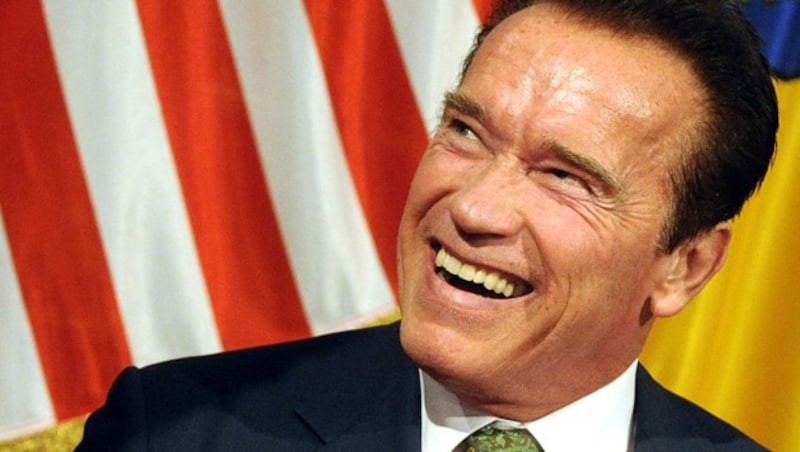 Schwarzenegger 2012 in Wien (Bild: APA/HERBERT PFARRHOFER)