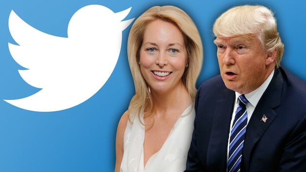 Ex-CIA-Agentin Valerie Plame Wilson will Trump auf Twitter zum Schweigen bringen. (Bild: AP, krone.at-Grafik)