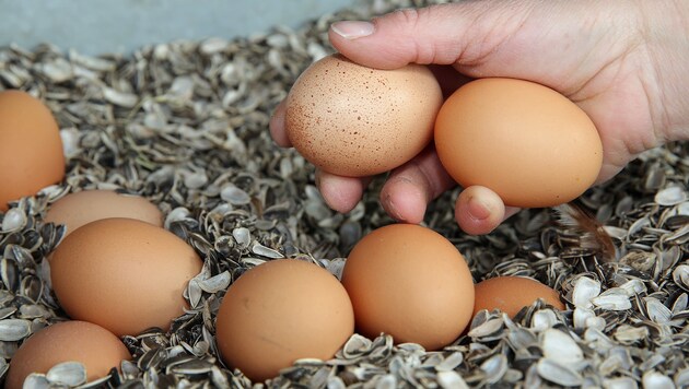 Bei den bisher beanstandeten Proben handelte es sich um Produkte mit nicht österreichischen Eiern. (Bild: gewefoto - Gerhard Wenzel)