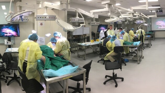 Beeindruckend: Hier lernen und verfeinern die (Hand-)Chirurgen ihre diversen Operationstechniken. (Bild: "Krone")