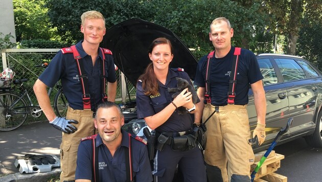 Eine Polizistin mit dem geretteten Kätzchen und den Helfern von der Feuerwehr. (Bild: Polizei)