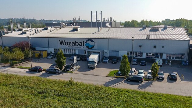 Der Wozabal-Standort in Enns (Bild: FOTOKERSCHI.AT/BERNADETTE KERSCH)