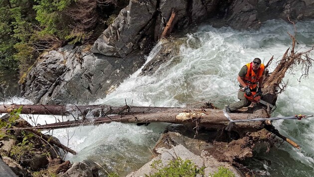Soldaten haben eine 25 Meter lange Fichte aus dem Günster Wasserfall nahe Krakaudorf entfernt. (Bild: Thomas Pucher/ÖBH)