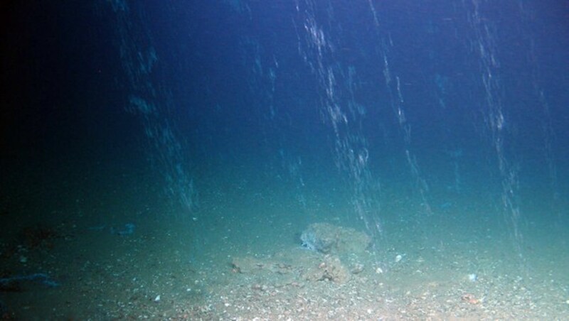 Methangas-Austritt in der Nähe eines alten Bohrlochs (Bild: GEOMAR/ROV Kiel 6000)