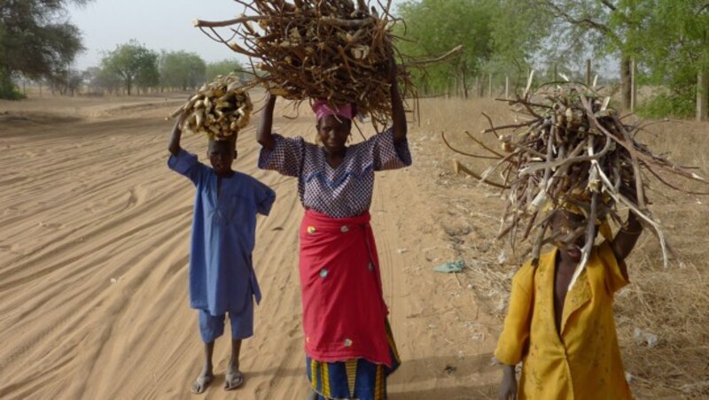 Der Klimawandel führt zu Kleinkriegen um schwindende Lebensgrundlagen, wie zum Beispiel Brennholz. (Bild: AFP)