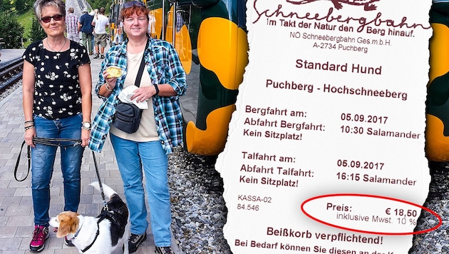 Michaela Streit (li.) musste für "Ricky" 18,50 Euro zahlen. (Bild: K. Neumayr, "Krone", krone.at-Grafik)