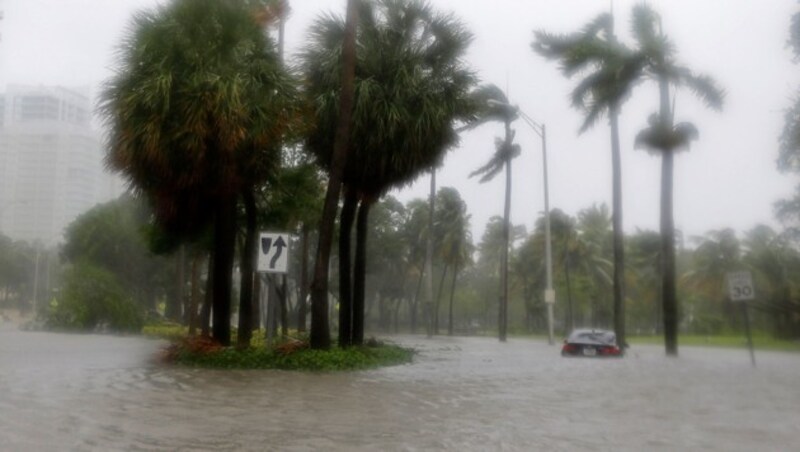 Miami unter Wasser (Bild: AP)