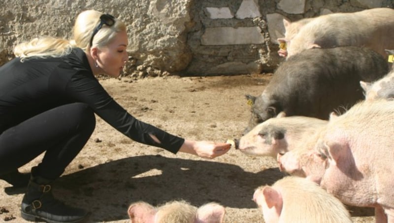 Kathrin Glock hat ein großes Herz für alle Tiere. (Bild: Claudia Fischer)