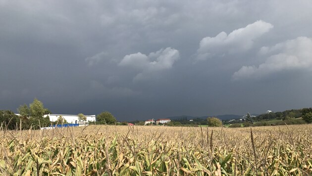 Deutschland hat gewählt - und möglicherweise ziehen auch über Österreich dunklere Wolken auf... (Bild: Kronen Zeitung)