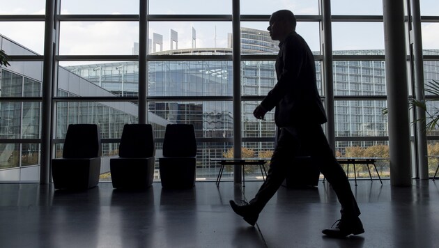 Sunday, June 9, has been set as the date for the European Parliament elections in Austria. (Bild: AFP)