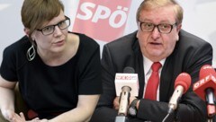 Andrea Brunner (38) und Christoph Matznetter (58) sollen die SPÖ nun aus der Krise führen. (Bild: APA/H.NEUBAUER,APA/H. FOHRINGER, krone.at-Grafik)