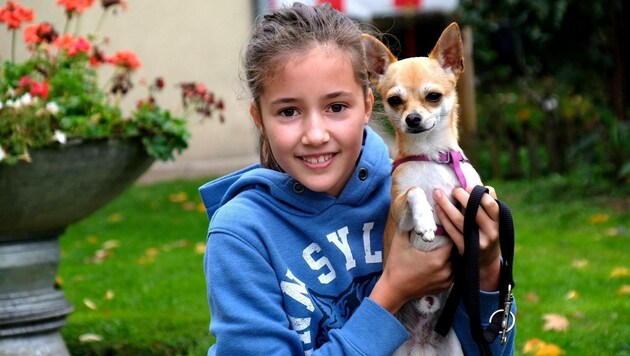 Auch dieses Mädchen besuchte das Linzer Tierheim am Tag der offenen Tür. (Bild: Horst Einöder)