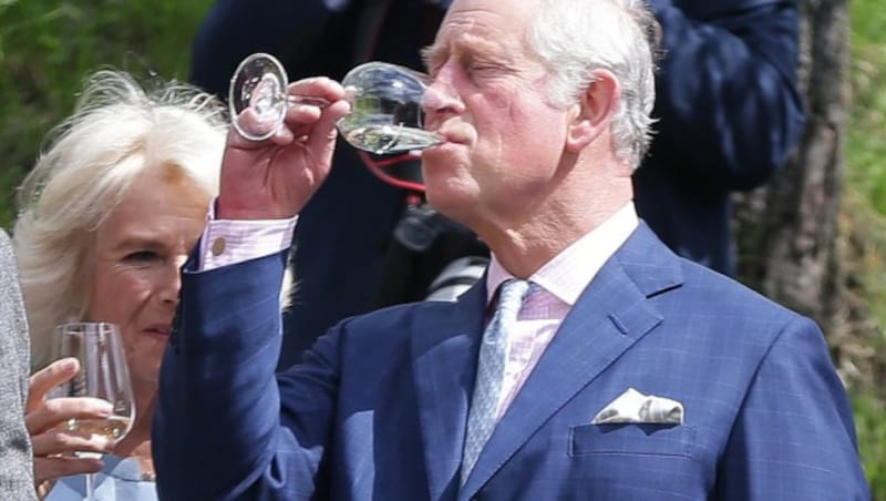 Cheers und Prost, Your Highnesses! (Bild: APA/GEORG HOCHMUTH)
