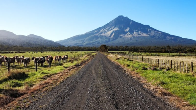 Der Namensgeber der Region Taranaki ist dieser 2,5 Kilometer hohe Vulkan. Letzter Ausbruch: 1854 (Bild: flickr.com/Dave Young)