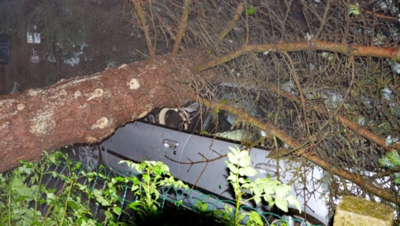 In Karlstein stürzte ein Baum auf ein Auto. (Bild: APA/BFK WAIDHOFEN A. D. THAYA/STEFAN MAYER)