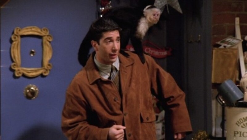 "Marcel" in "Friends" (Bild: NBC)