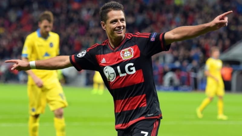 Leverkusens Javier Hernandez jubelt über seinen Treffer (Bild: APA/EPA/FEDERICO GAMBARINI)